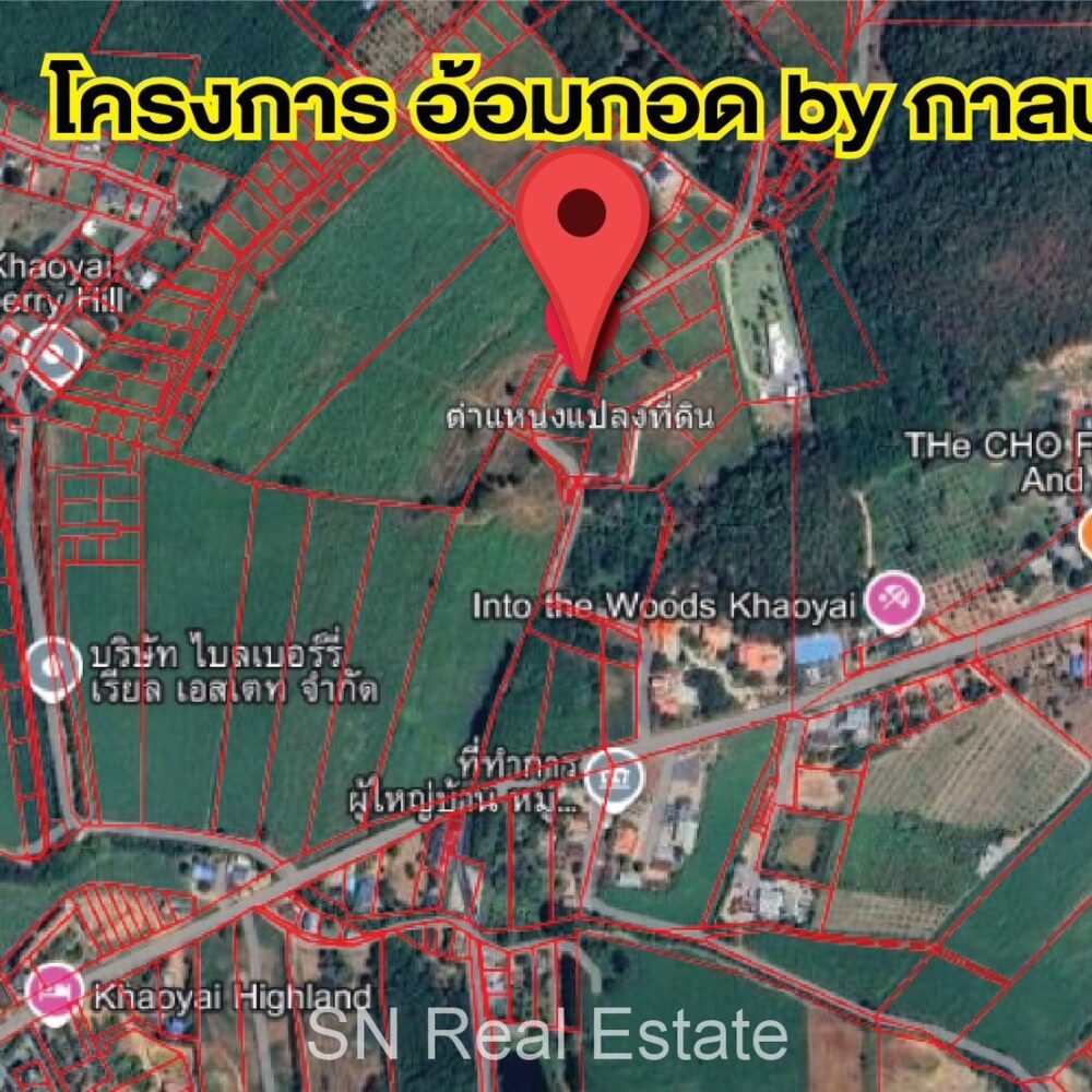 ขายที่ดินจัดสรรเขาใหญ่ โครงการอ้อมกอด By กาลนาน บรรยากาศดี วิวเขาสวย